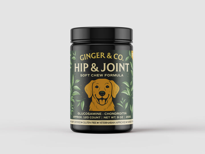 Ginger & Co. Hip & Joint Support Chews for Dogs – Mobility & Flexibility 120ct