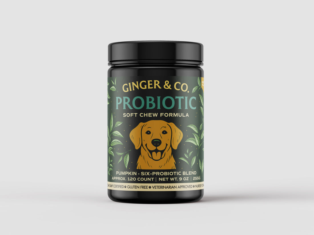 Ginger & Co. Digestive Support Chews for Dogs – Probiotics & Pumpkin 120ct