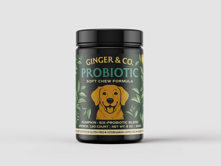 Ginger & Co. Digestive Support Chews for Dogs – Probiotics & Pumpkin 120ct
